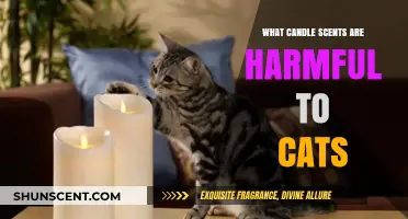 Protect Your Feline: Harmful Candle Scents to Avoid for Cats