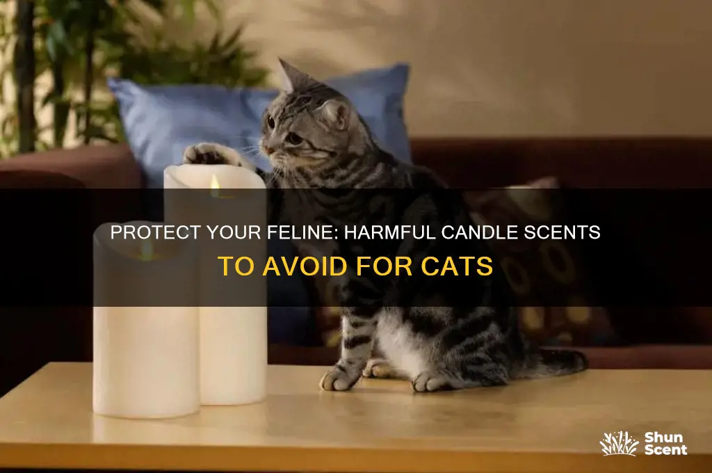 what candle scents are harmful to cats