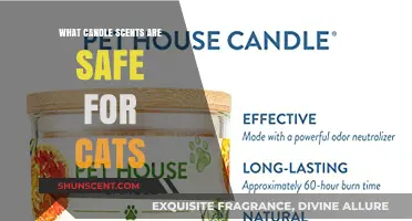 Cat-Safe Candle Scents: Choosing Aromas That Won’t Harm Your Feline Friend