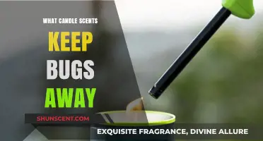 Bug-Free Bliss: Top Candle Scents to Repel Insects Naturally