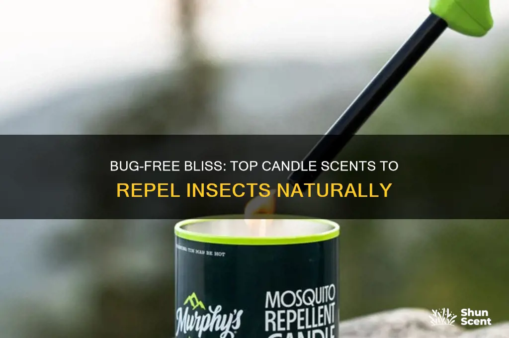 what candle scents keep bugs away
