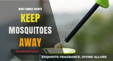 Natural Mosquito Repellent: Best Candle Scents to Keep Bugs Away