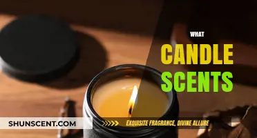 Discover the Perfect Candle Scents to Transform Your Space