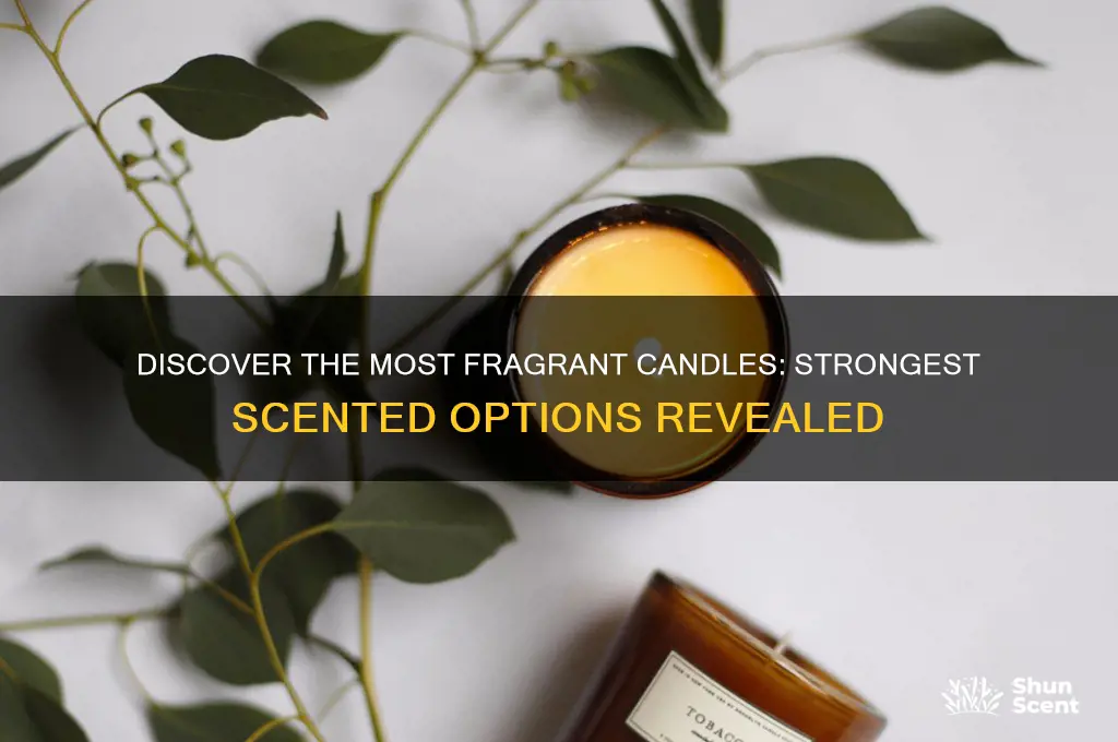 what candles have the strongest scent