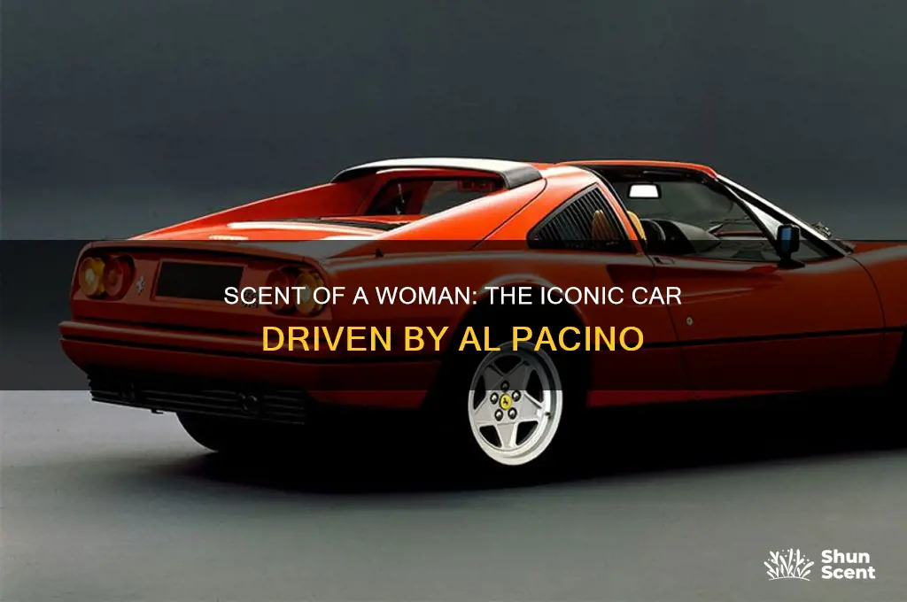 what car is driven in scent of woman