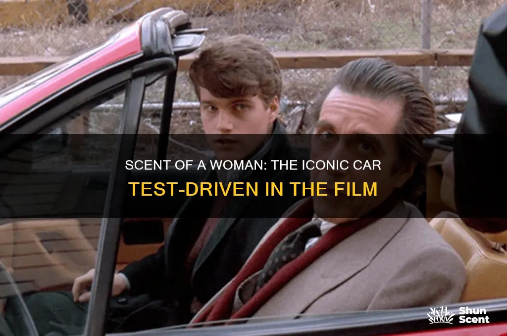 what car is test drove in scent of a woman
