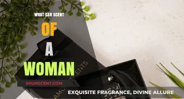 Scent of a Woman: The Alluring Car Fragrance That Captivates