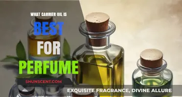 Best Carrier Oils for Perfume: Enhance Fragrance and Skin Benefits