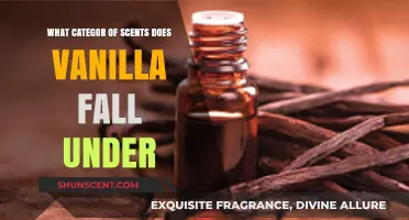 Vanilla's Aromatic Category: Unveiling Its Olfactory Classification and Appeal
