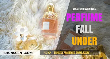 Perfume Classification: Understanding Its Category in Beauty and Personal Care
