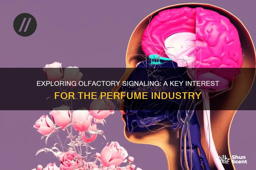 what category of signaling may interest the perfume industry