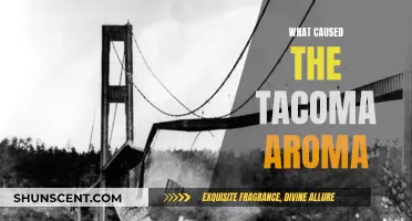 Tacoma Aroma: Unraveling the Mystery of the Smell's Source