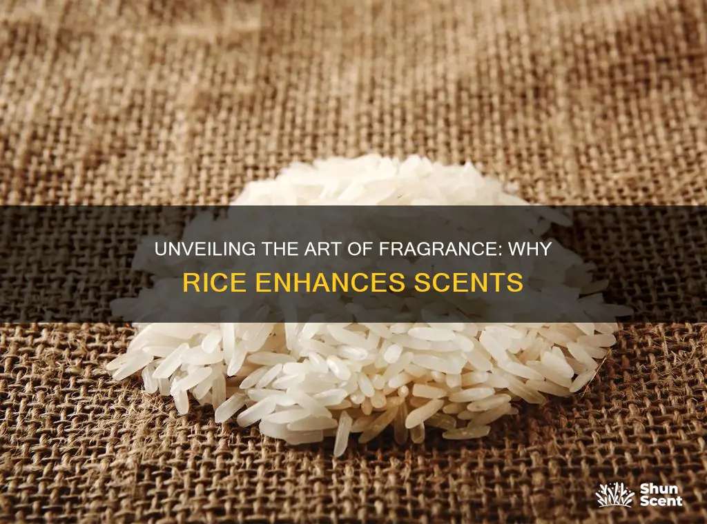 what causes a fragrance to rice