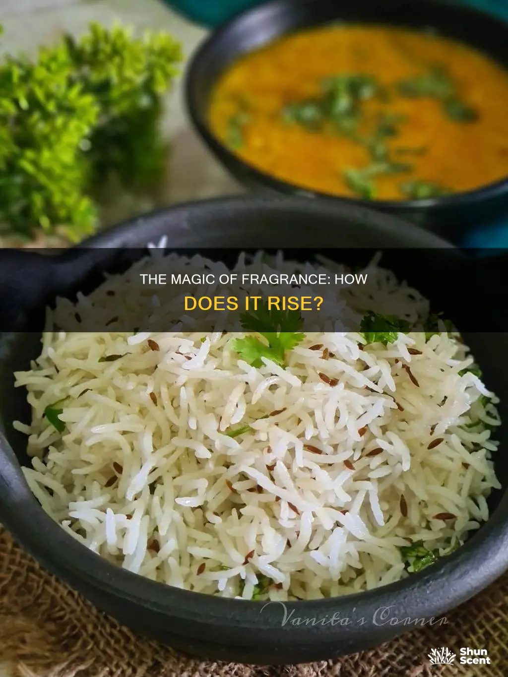what causes a fragrance to rice
