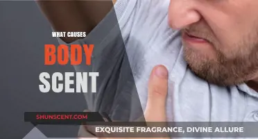 Understanding Body Odor: Causes, Factors, and Science Behind Natural Scent