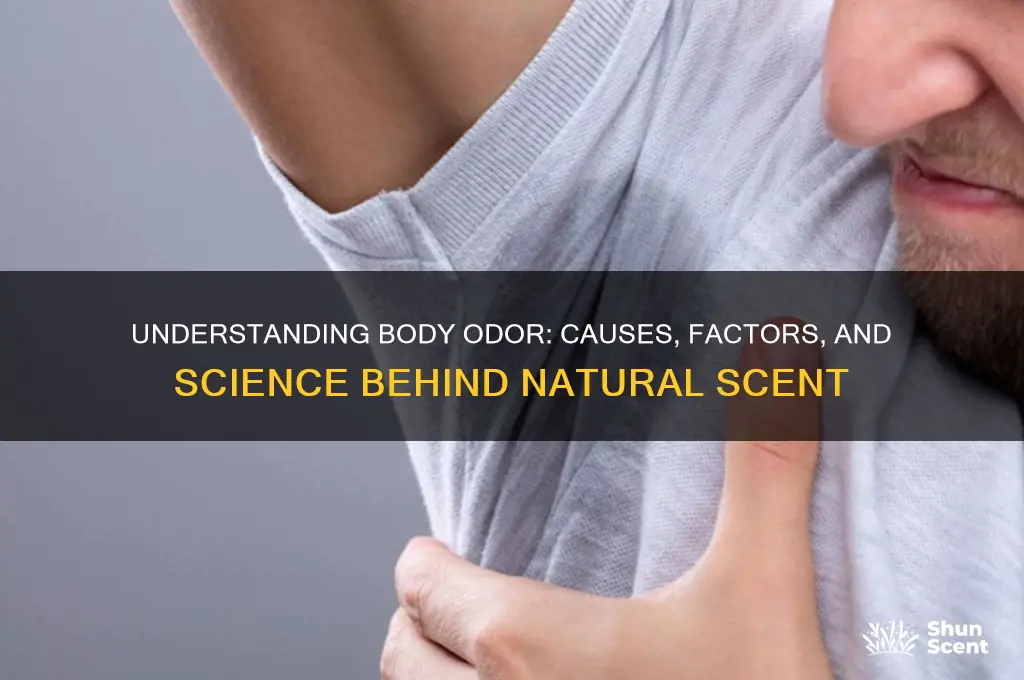 what causes body scent
