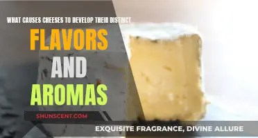 The Chemistry Behind Cheese's Unique Flavors and Scents