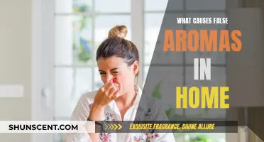 Home Aromas: False Scents and Their Causes