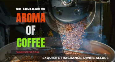 The Chemistry Behind Coffee's Flavor and Aroma