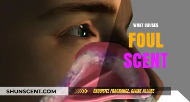 Uncovering the Surprising Causes of Foul Scents and How to Eliminate Them