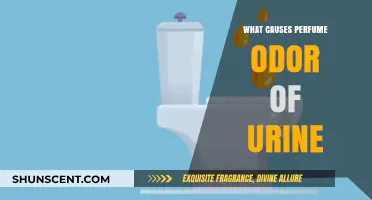Why Does Urine Smell Like Perfume? Uncovering the Surprising Causes