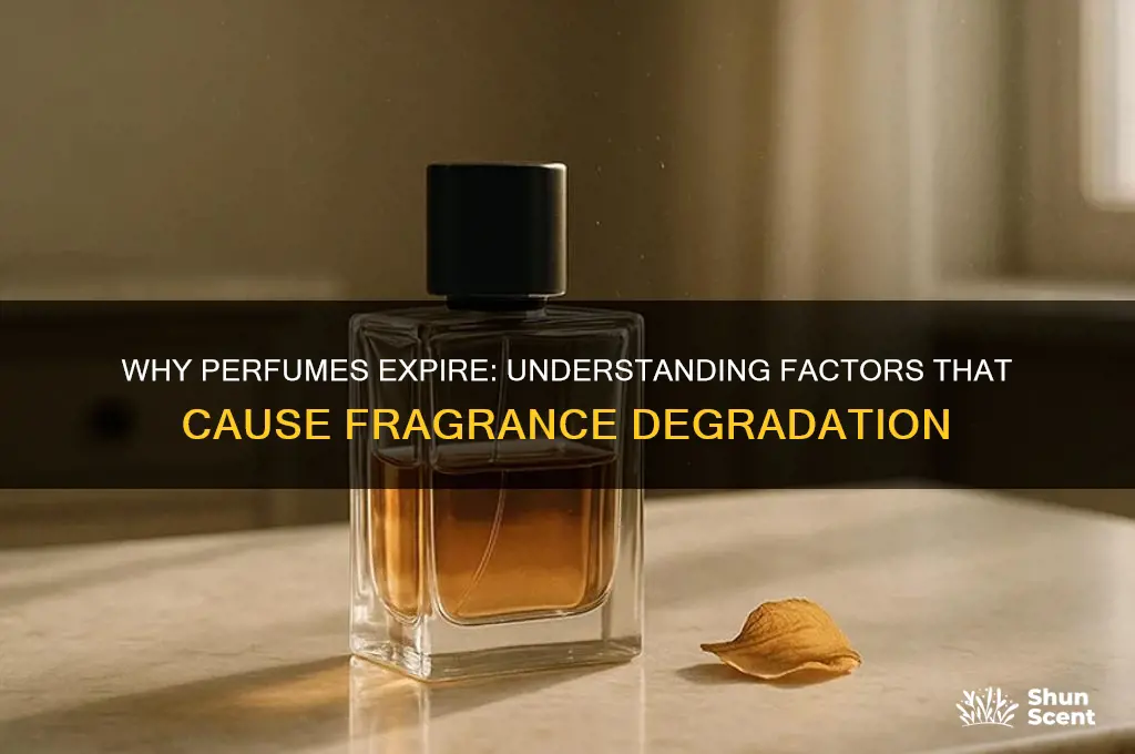 what causes perfume to go bad