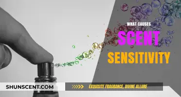 Understanding Scent Sensitivity: Causes, Triggers, and Coping Strategies