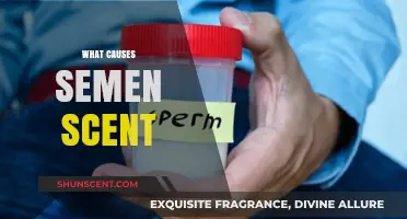 Understanding Semen Scent: Factors Influencing Its Unique Odor Explained