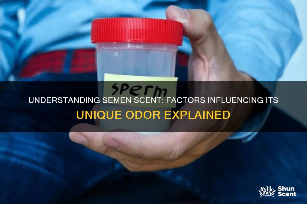 what causes semen scent