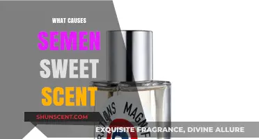 Understanding the Sweet Scent of Semen: Causes and Factors Explained