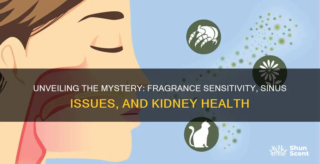 what causes sensivities to fragrances and sinus problems kidney