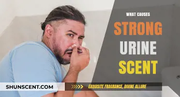 Understanding Strong Urine Odor: Causes and Potential Health Implications