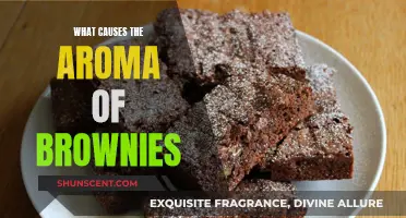 The Chemistry Behind Brownies' Enticing Aroma