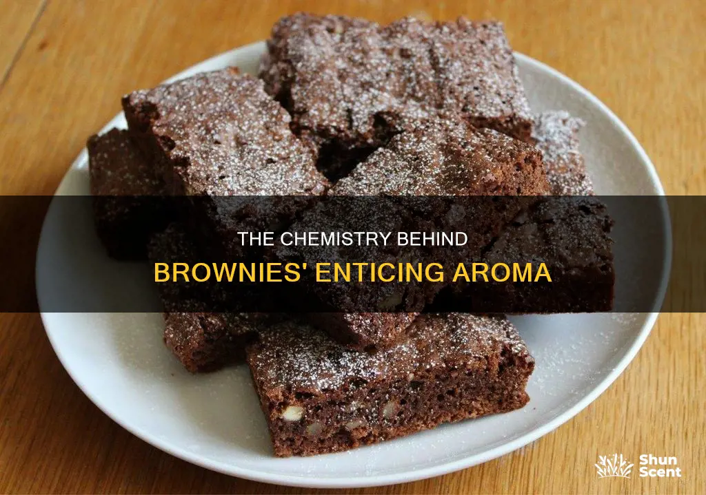 what causes the aroma of brownies