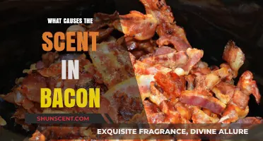 Unraveling the Aromatic Mystery: What Causes Bacon's Irresistible Scent