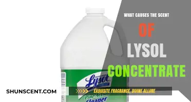 Unveiling the Chemistry Behind Lysol Concentrate's Signature Scent