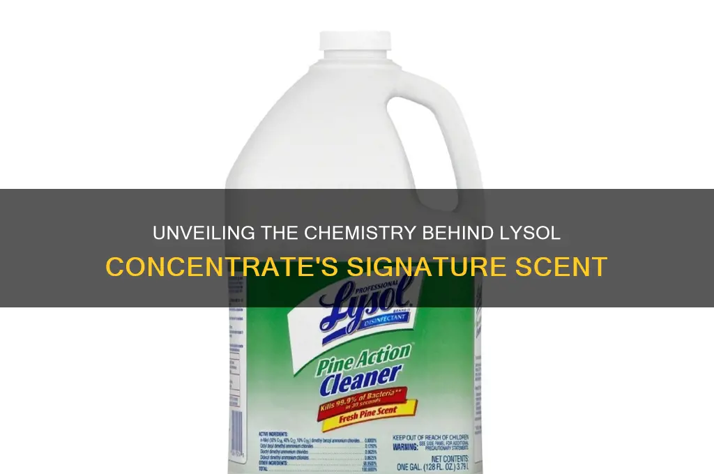what causes the scent of lysol concentrate