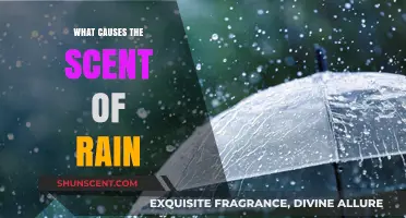 Unveiling the Earthy Aroma: Exploring the Science Behind Rain's Scent