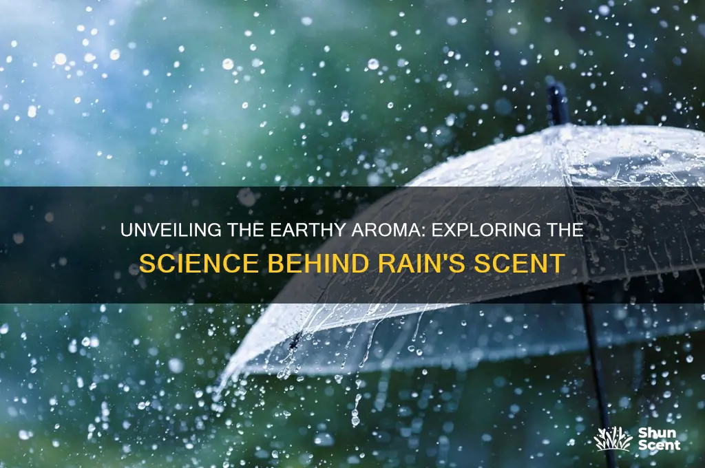 what causes the scent of rain