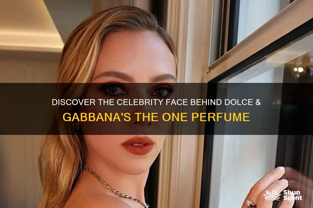 what celebrity endorses the perfume the one