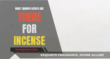 Champa Scents: Incense Fragrance Options for a Relaxing Ambience