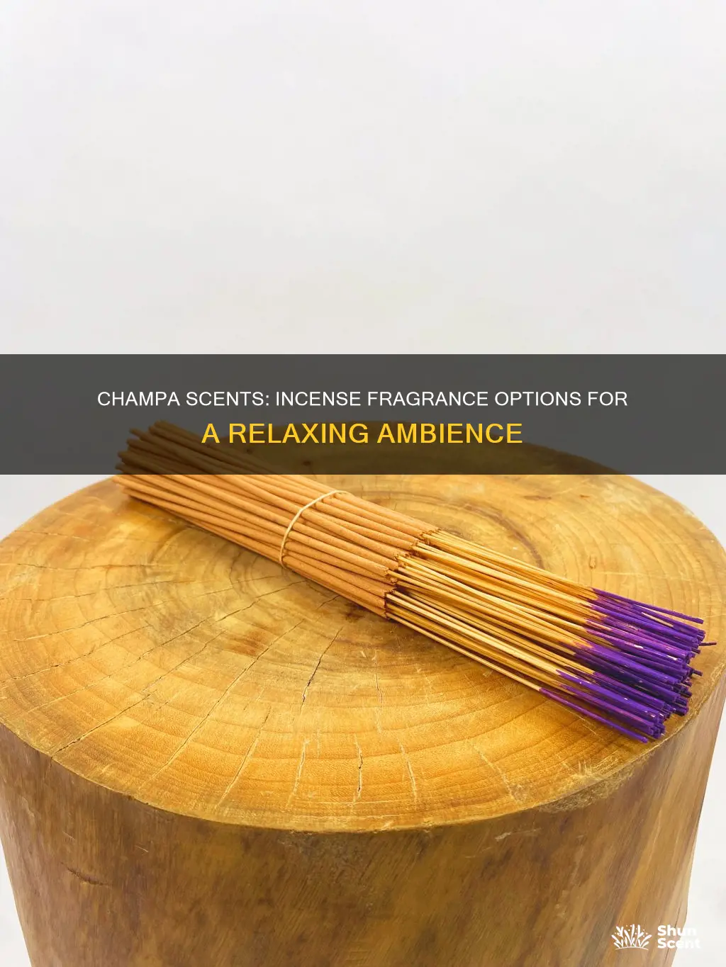 what champa scents are there for incense