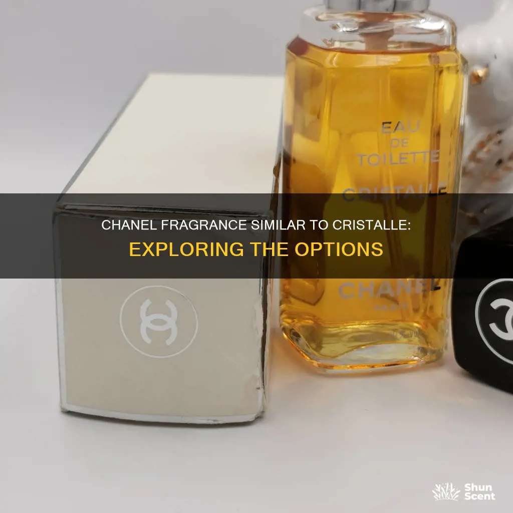 what chanel fragrance is similar to cristalle