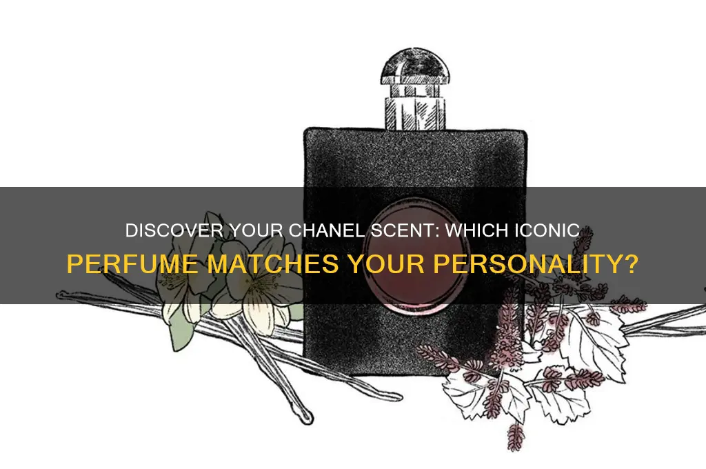 what chanel perfume are you