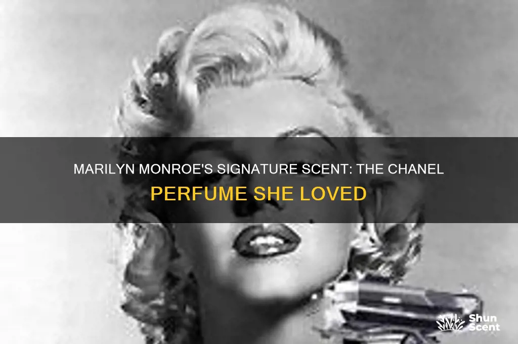 what chanel perfume did marilyn monroe wear