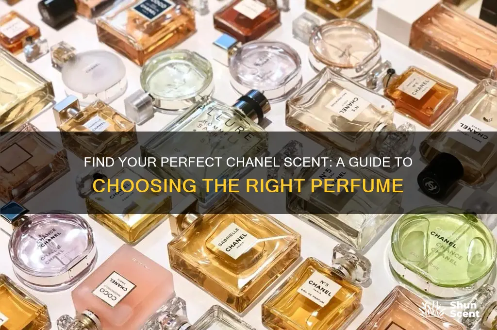 what chanel perfume is right for me