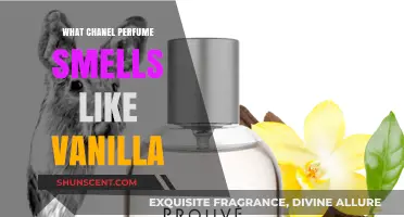 Chanel's Vanilla Fragrance: A Sensual, Sweet Scent