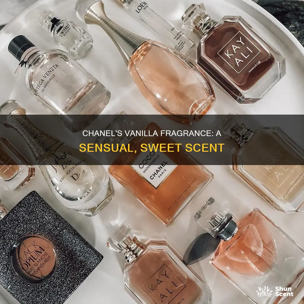 what chanel perfume smells like vanilla