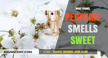 Chanel's Sweet Scents: Exploring the Brand's Fragrance Offerings