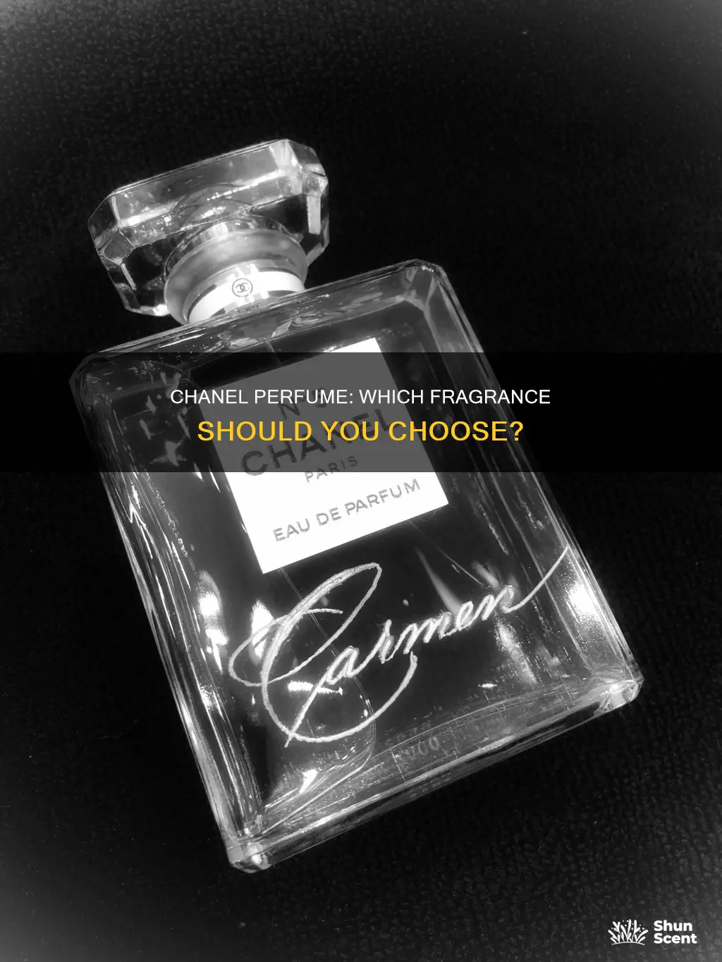 what chanel perfume to buy